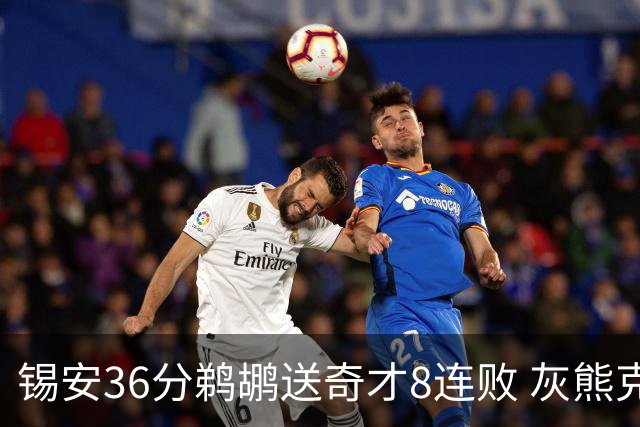 锡安36分鹈鹕送奇才8连败 灰熊克火箭止9连败